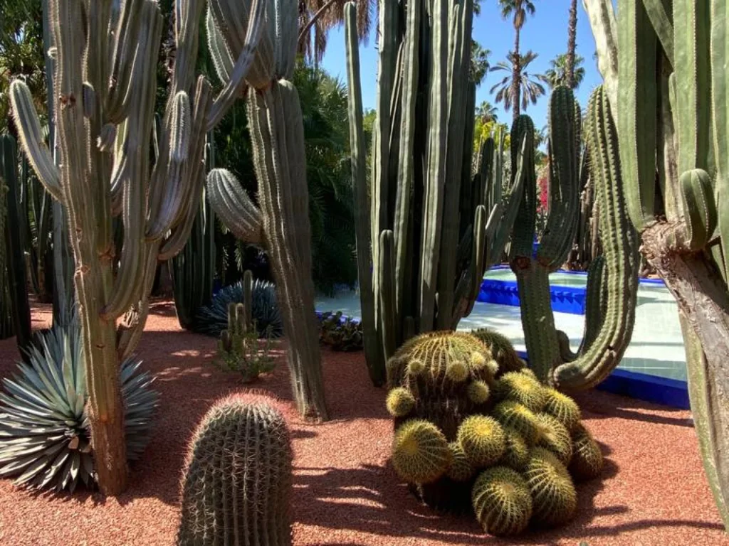 14 Days Trip Best of Morocco Private Luxury tour from Casablanca