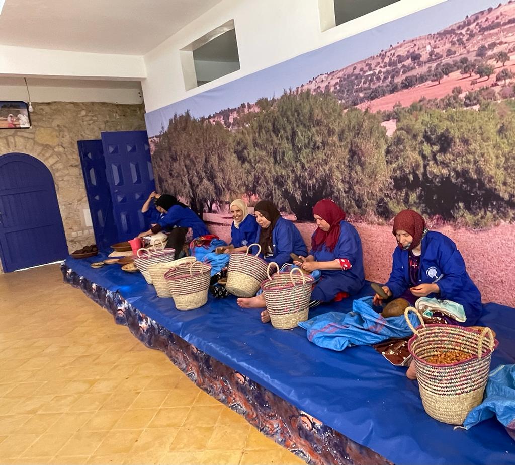 14 Days Trip Best of Morocco Private Luxury tour from Casablanca