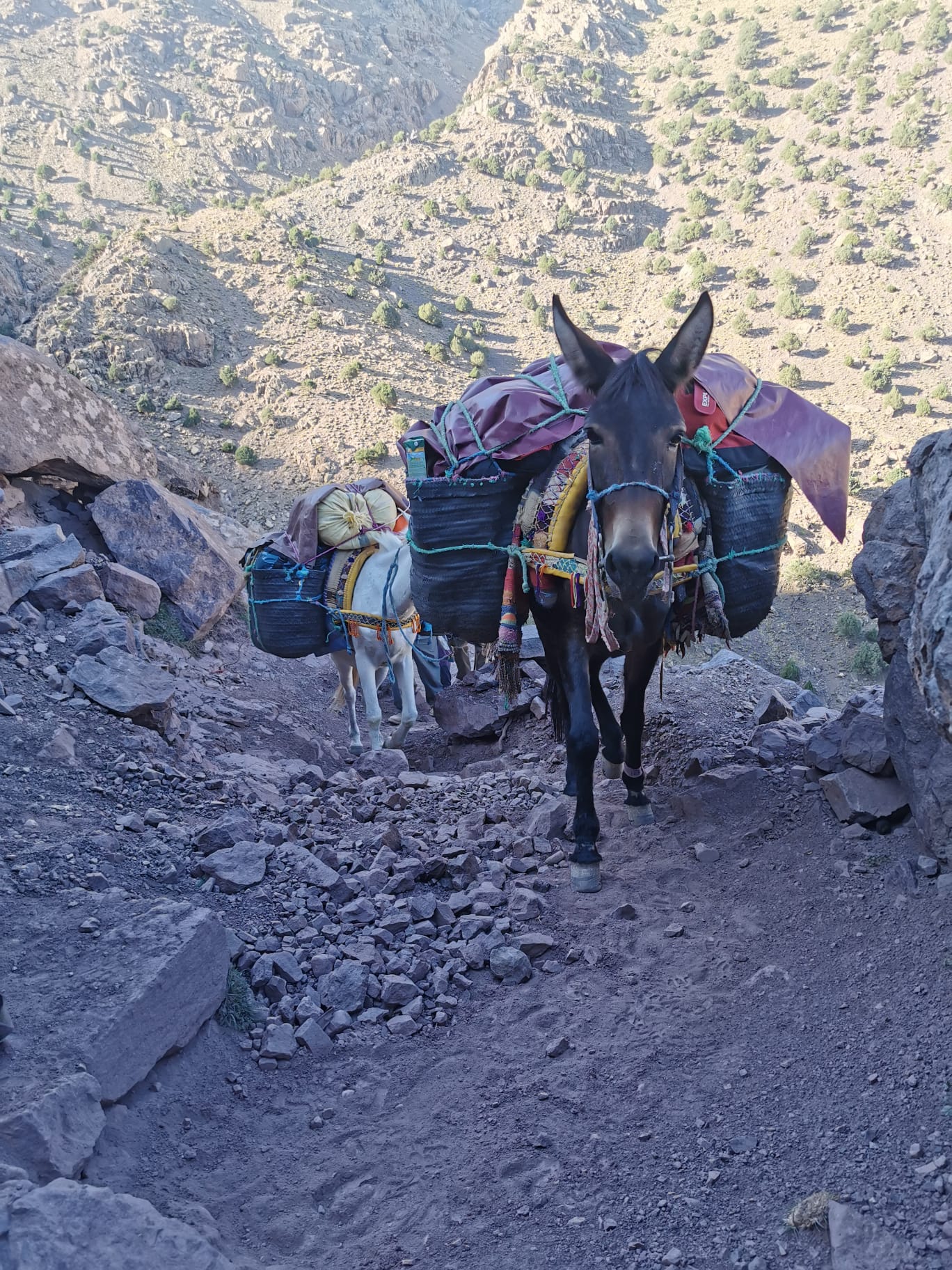 8 Days Women's Expedition Tour From Marrakech