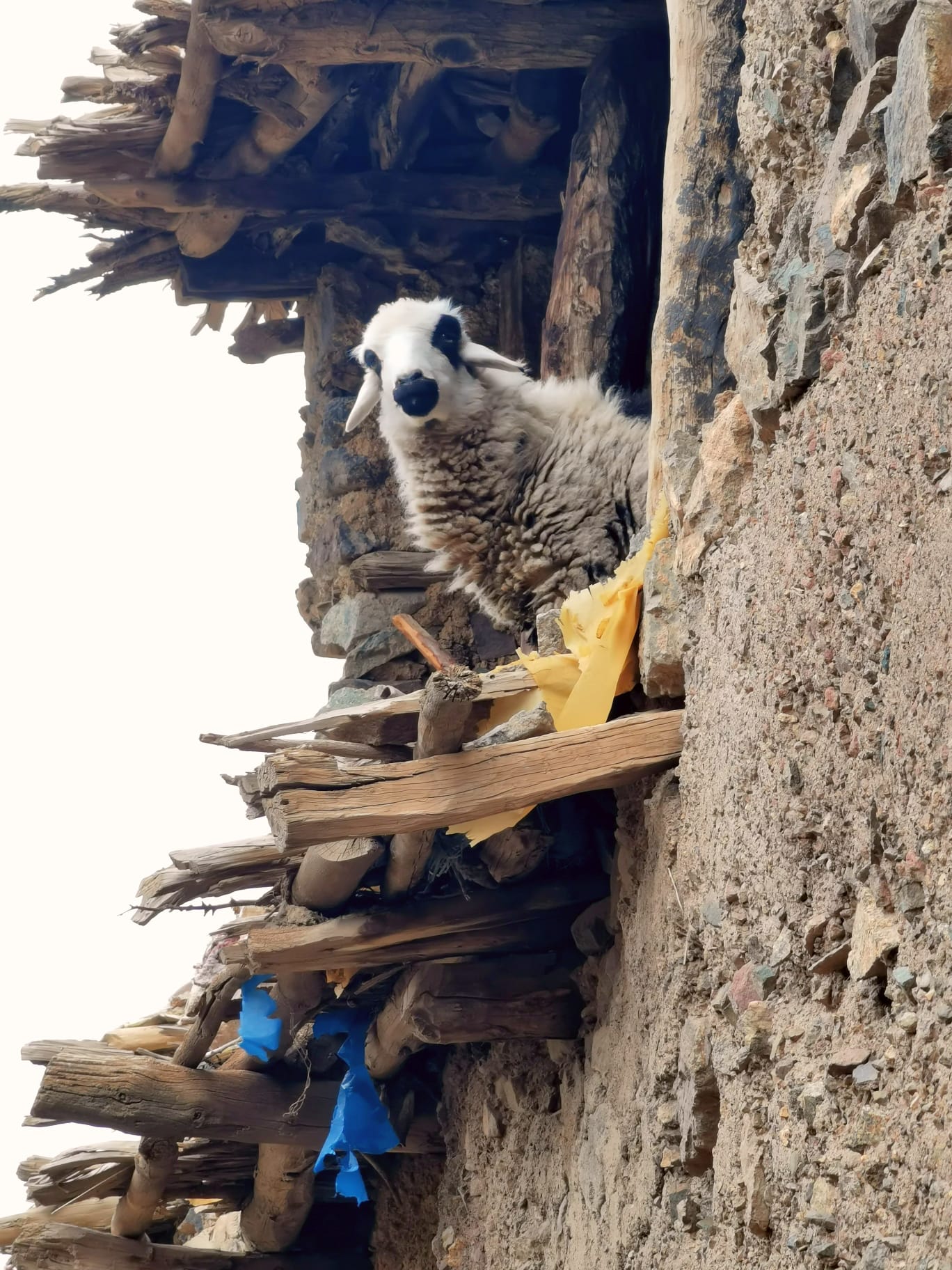 8 Days Women's Expedition Tour From Marrakech