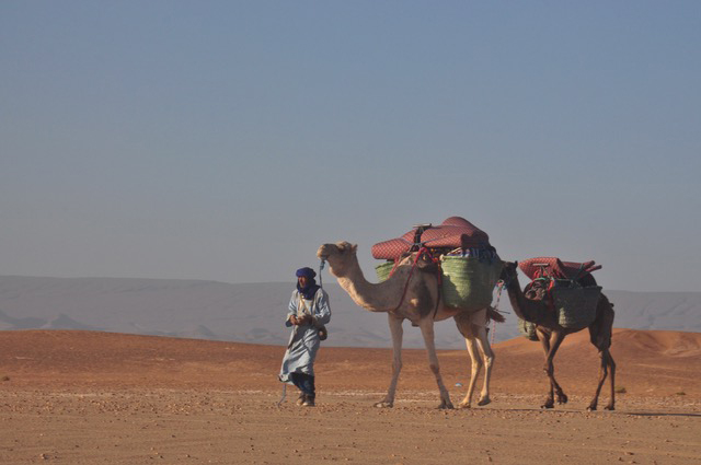 8 Days Coastal Discovery : Marrakech to Essaouira Trek